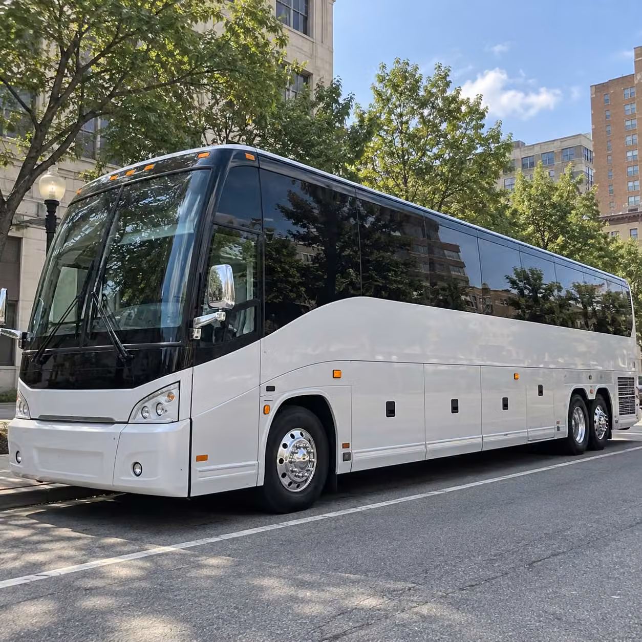 austin science and nature field trip transportation to barton springs zilker park and beyond